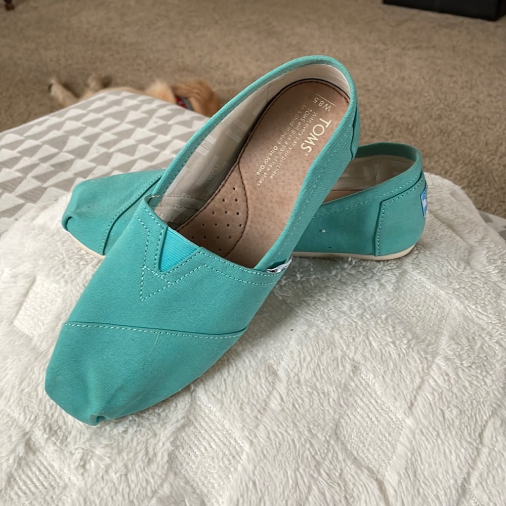 Toms blue sz 8.5 slip on